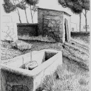 Bassa | Tinta con pluna | José Cerezo